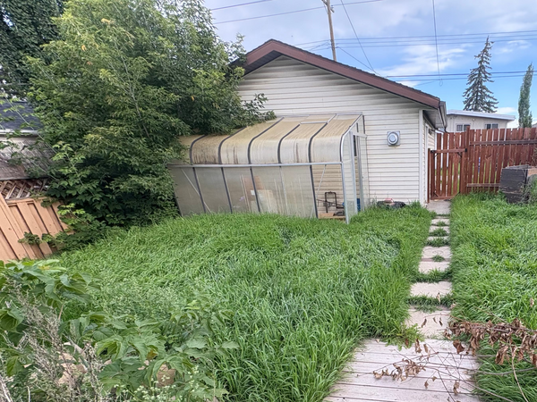 Before - Overgrown Yard & City Notice Cleanup