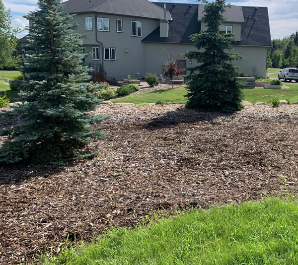 After - Detailed Hand Weed Removal